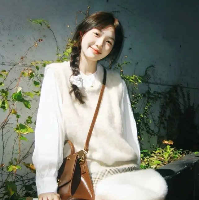 啼笑姻缘（上集）