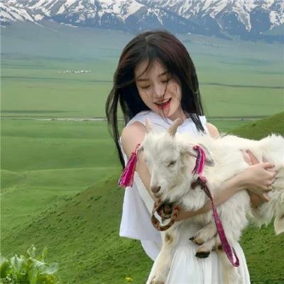 不可思议星期二粤语